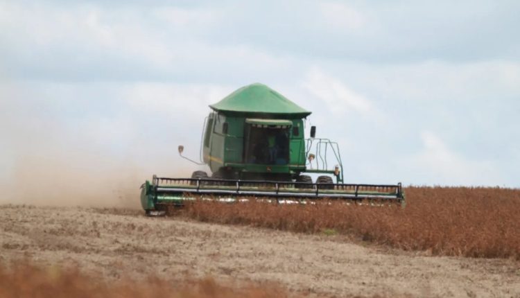 Saiba quais são os 100 municípios mais ricos do agronegócio 