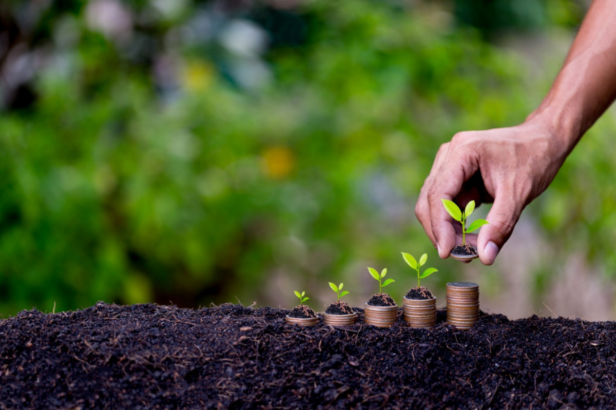 PIB do agronegócio cai 3,5% no acumulado de 2024