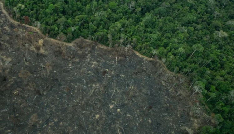 Imagens de satélite mostram novas áreas de garimpo em terras indígenas