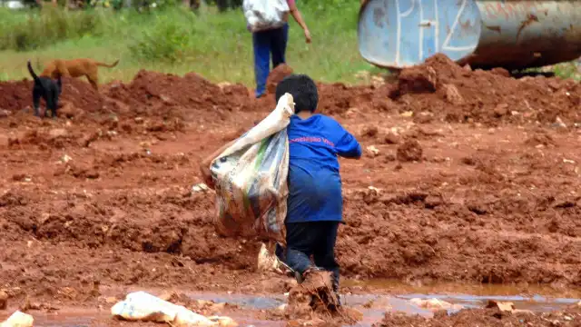 Trabalho infantil recua no Brasil, mas ainda afetava 1,6 milhão em 2023, aponta IBGE