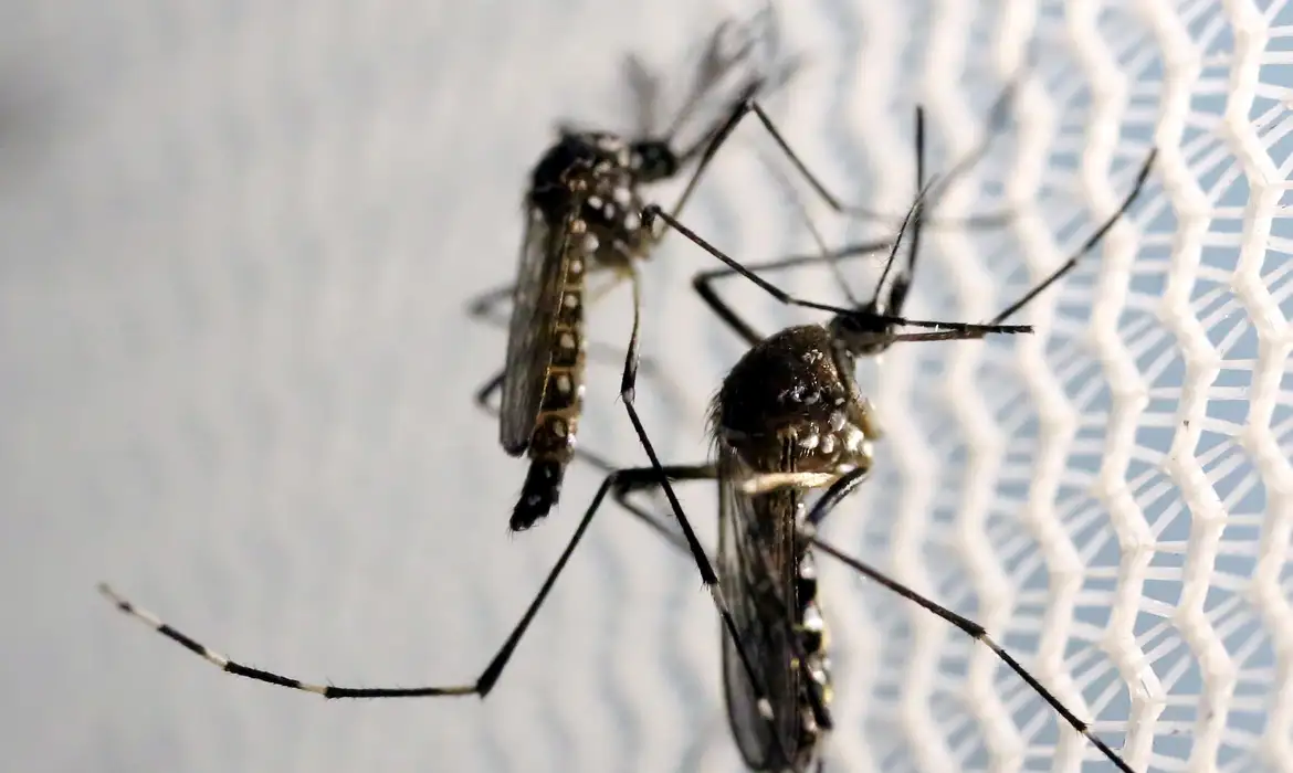 Dia D mobiliza população contra dengue neste sábado