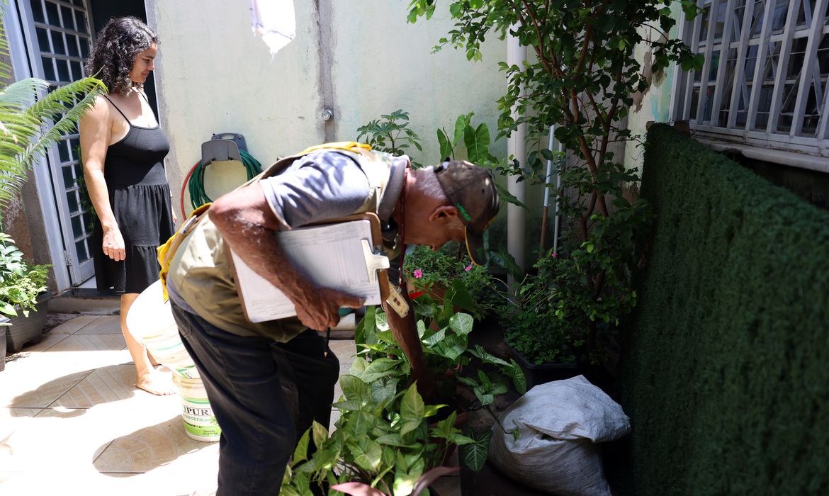 Dia D combate focos de mosquito da dengue em todo o país