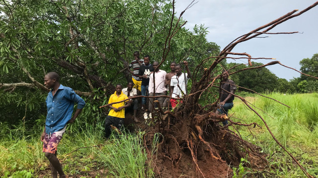 Sobe para 70 número de mortos pelo ciclone Chido em Moçambique