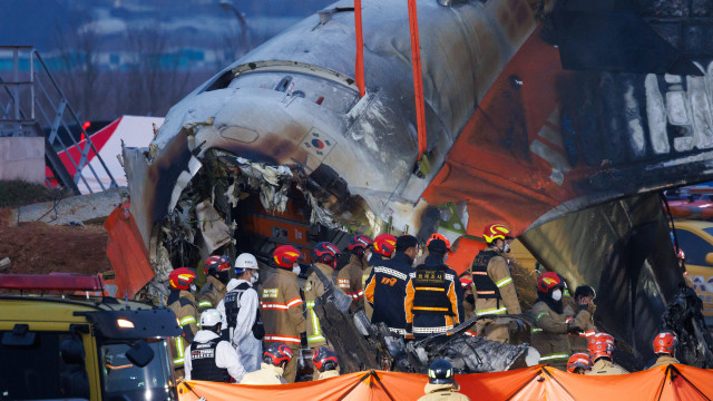 Sobrevivente da queda de avião: "quando acordei, já tinha sido resgatado"