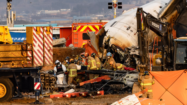 Colisão com pássaro ou falha mecânica? O que se sabe sobre queda de avião