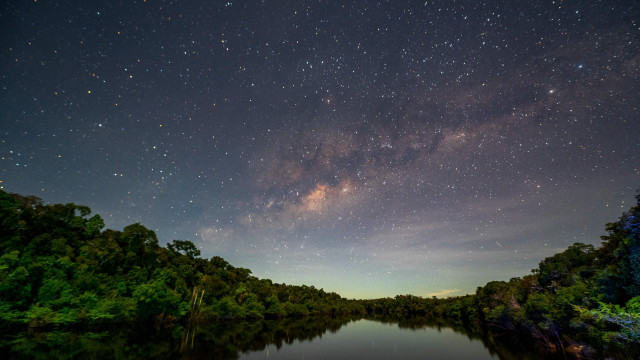 Lei aprovada em Mato Grosso quer converter Amazônia em Cerrado