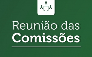 Comissão de Cultura e Patrimônio Histórico delibera futuras pautas