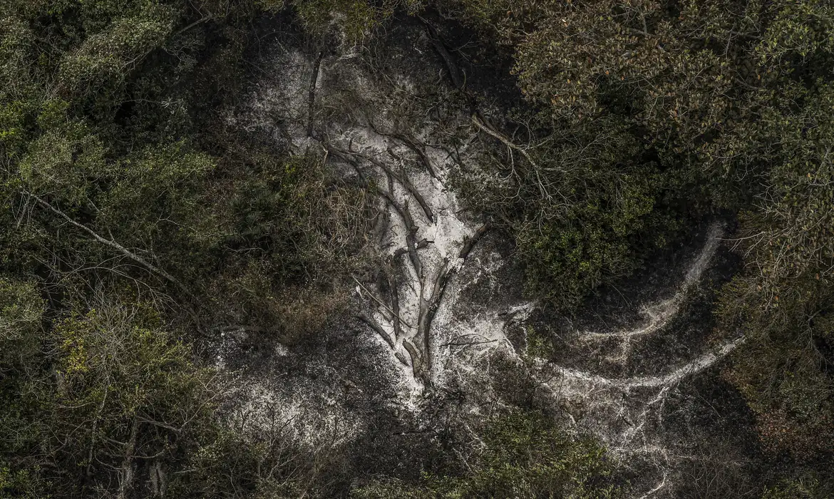 AGU cobra R$ 725 milhões de acusados por danos ambientais no Pantanal