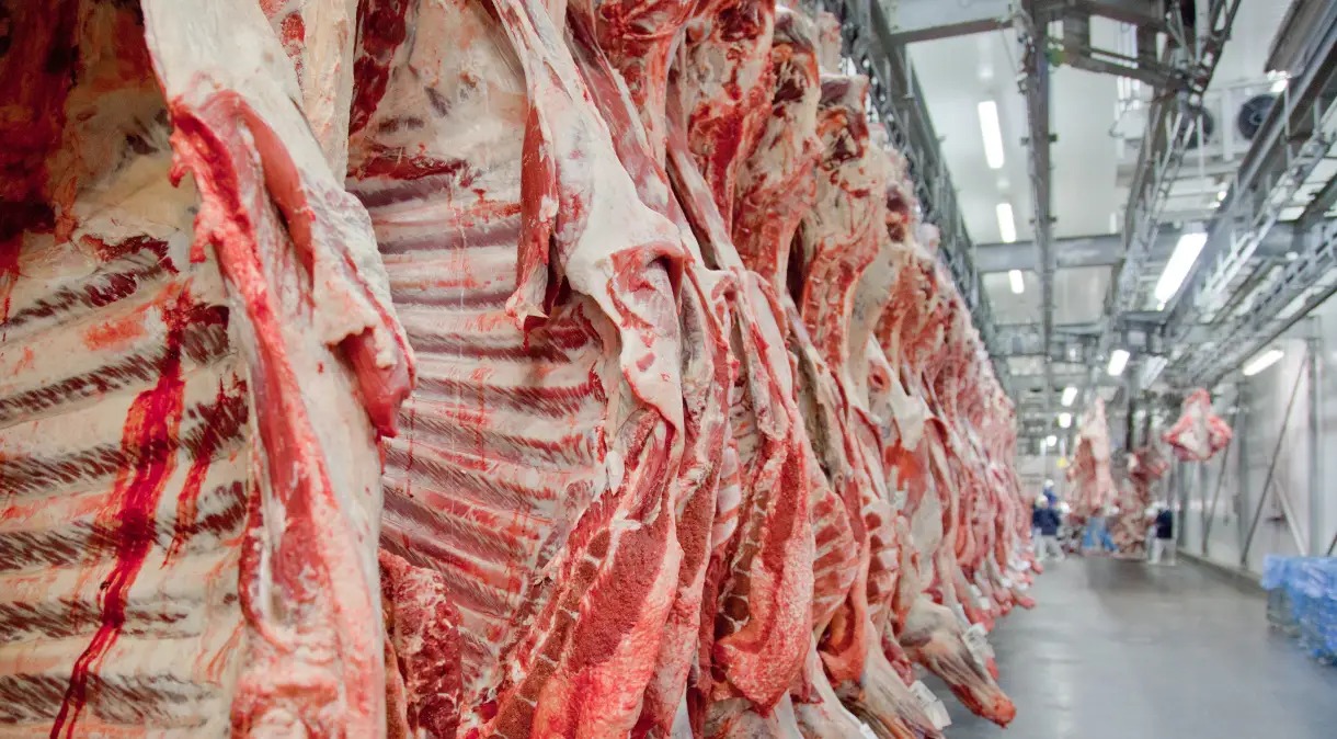 Abiec celebra abertura do mercado queniano para carne bovina brasileira