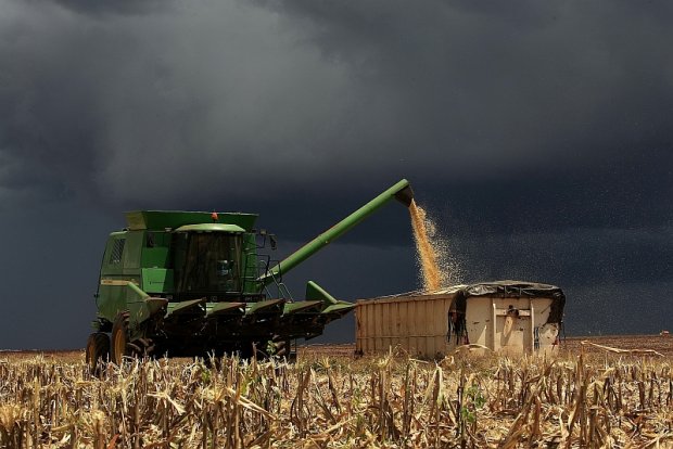 Colheita de soja no PR avança para 23% da área, diz Deral; chuva afeta qualidade