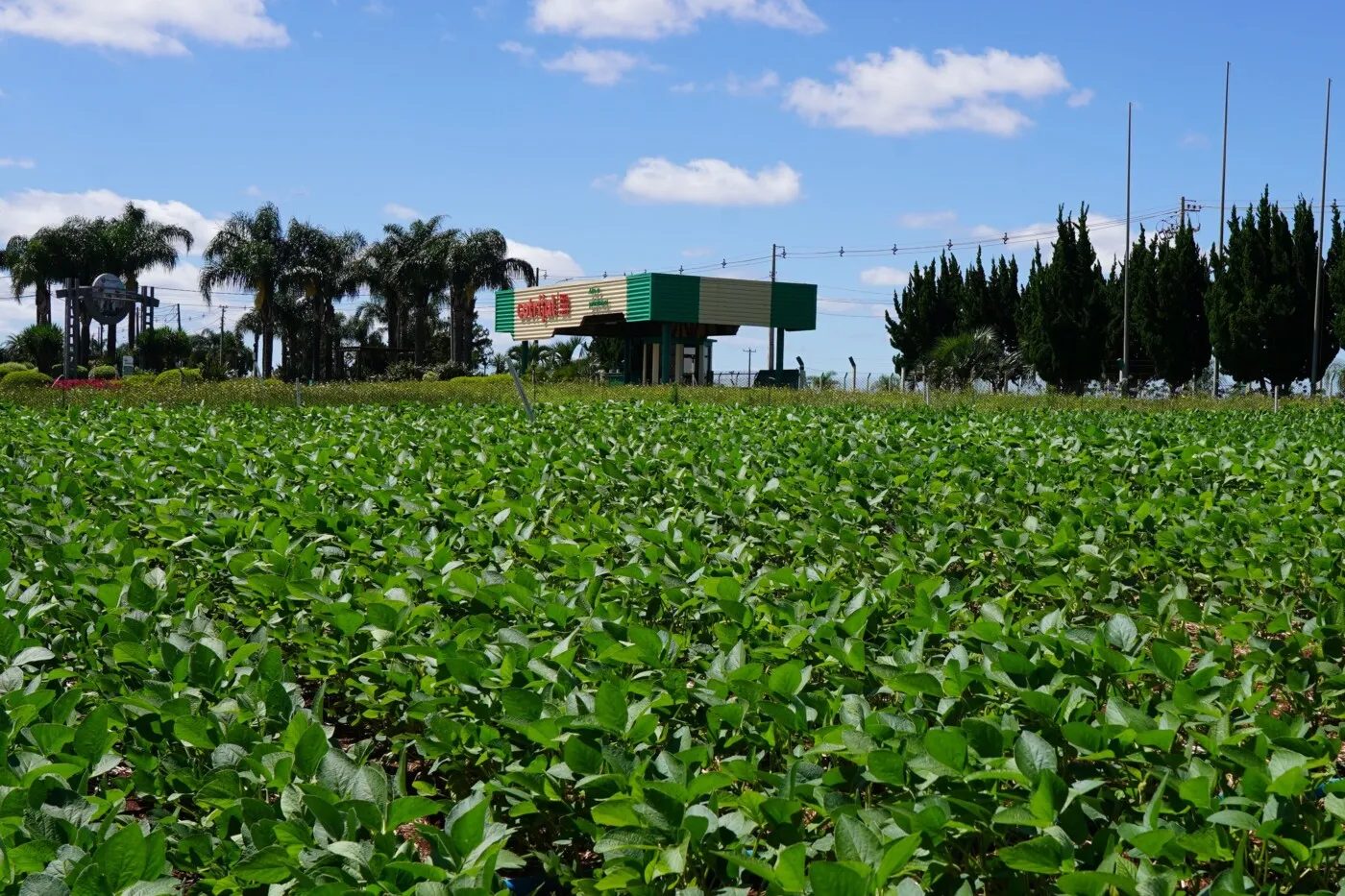 BRDE aprova financiamento de R$ 72,7 milhões para Cotrijal