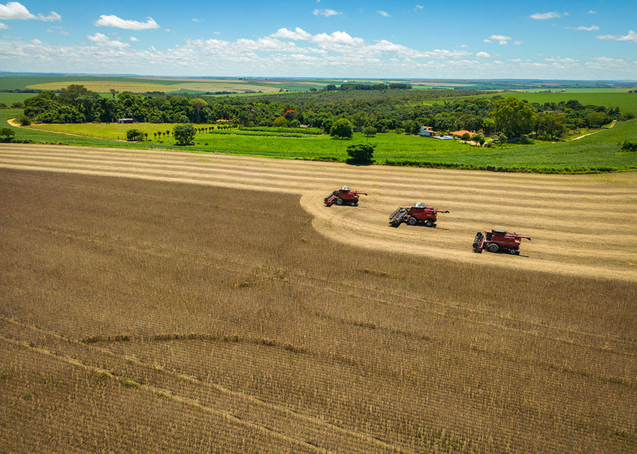 Emissões de carbono na agricultura brasileira são estimadas em US$ 11,54/tonelada