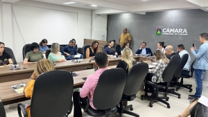 Comissão de Direitos Humanos, Cidadania e Pessoas com Deficiência recebe a representantes da Casa da Criança Cuiabana