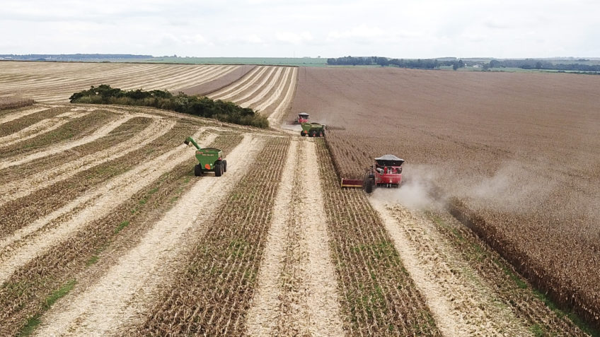 Emissões de CO2 na agropecuária custam US$ 11,54 por tonelada