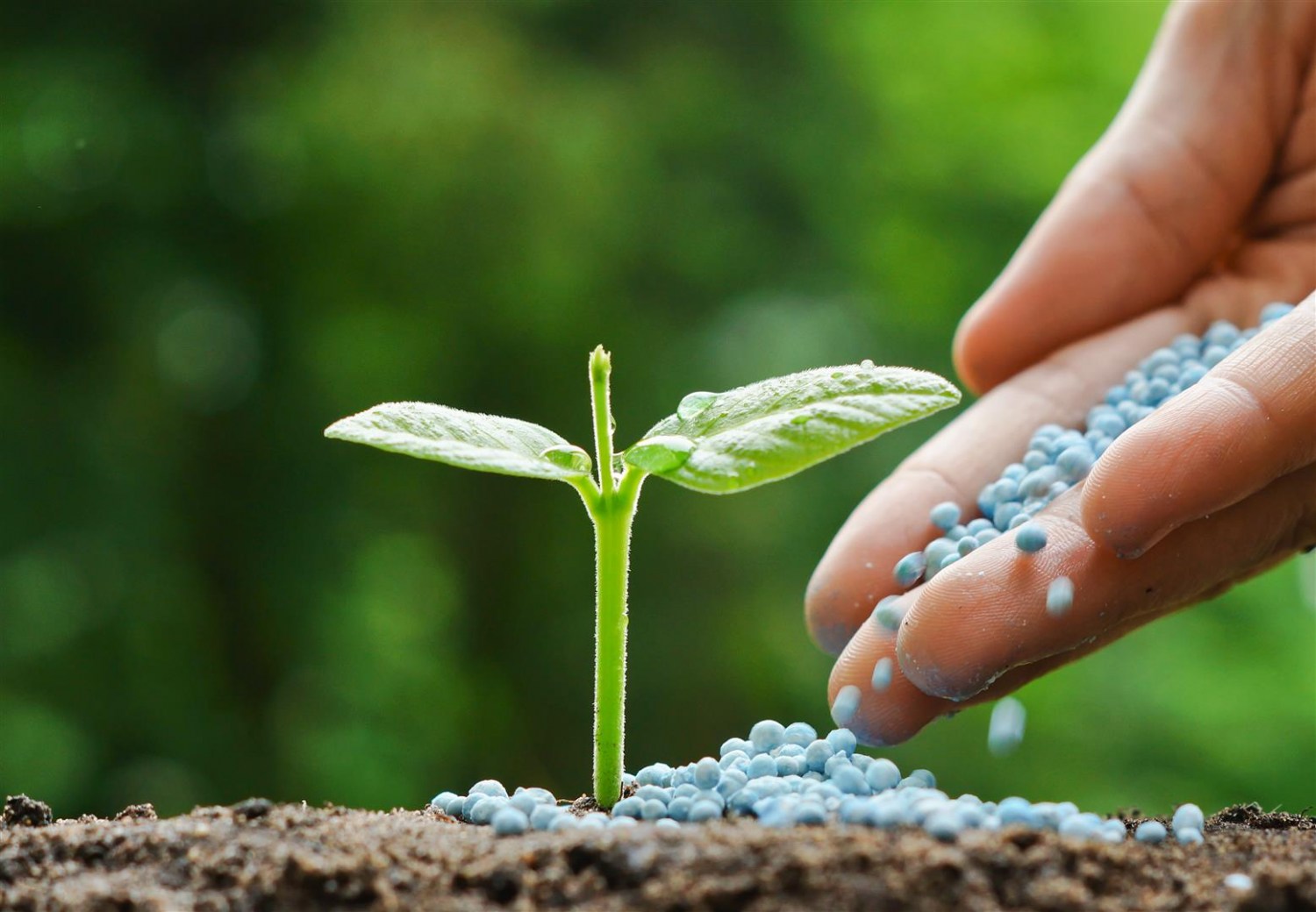 O que é um fertilizante biotecnológico?