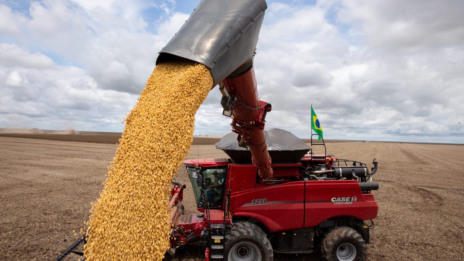 Mato Grosso tem uma produção de soja maior que muitos países