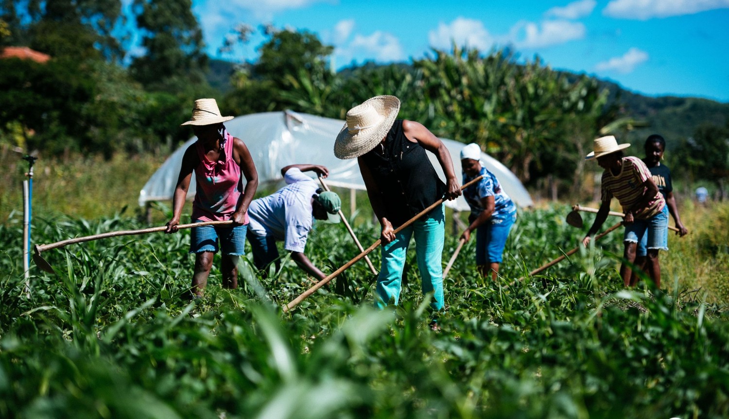 Prazo prorrogado: Agricultores têm até fim de março para enviar propostas para o PAA