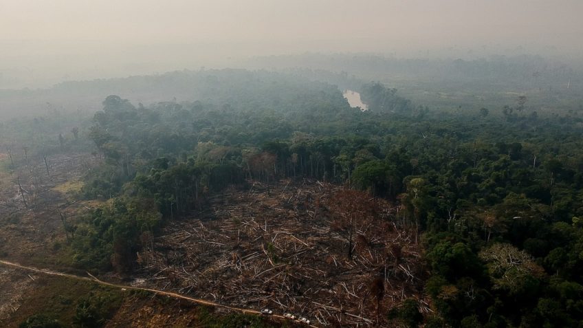 Governo lança edital de R$ 150 mi para recuperar Amazônia