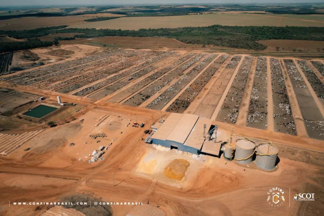 Marfrig conclui compra das unidades de confinamento da MFG
