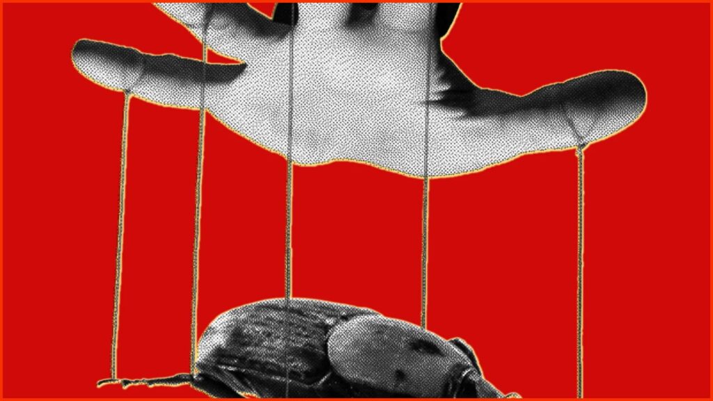 Falhas antigas do PHP viram alvo após avanço de ferramentas de IA